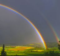 arcobaleno 43 lista